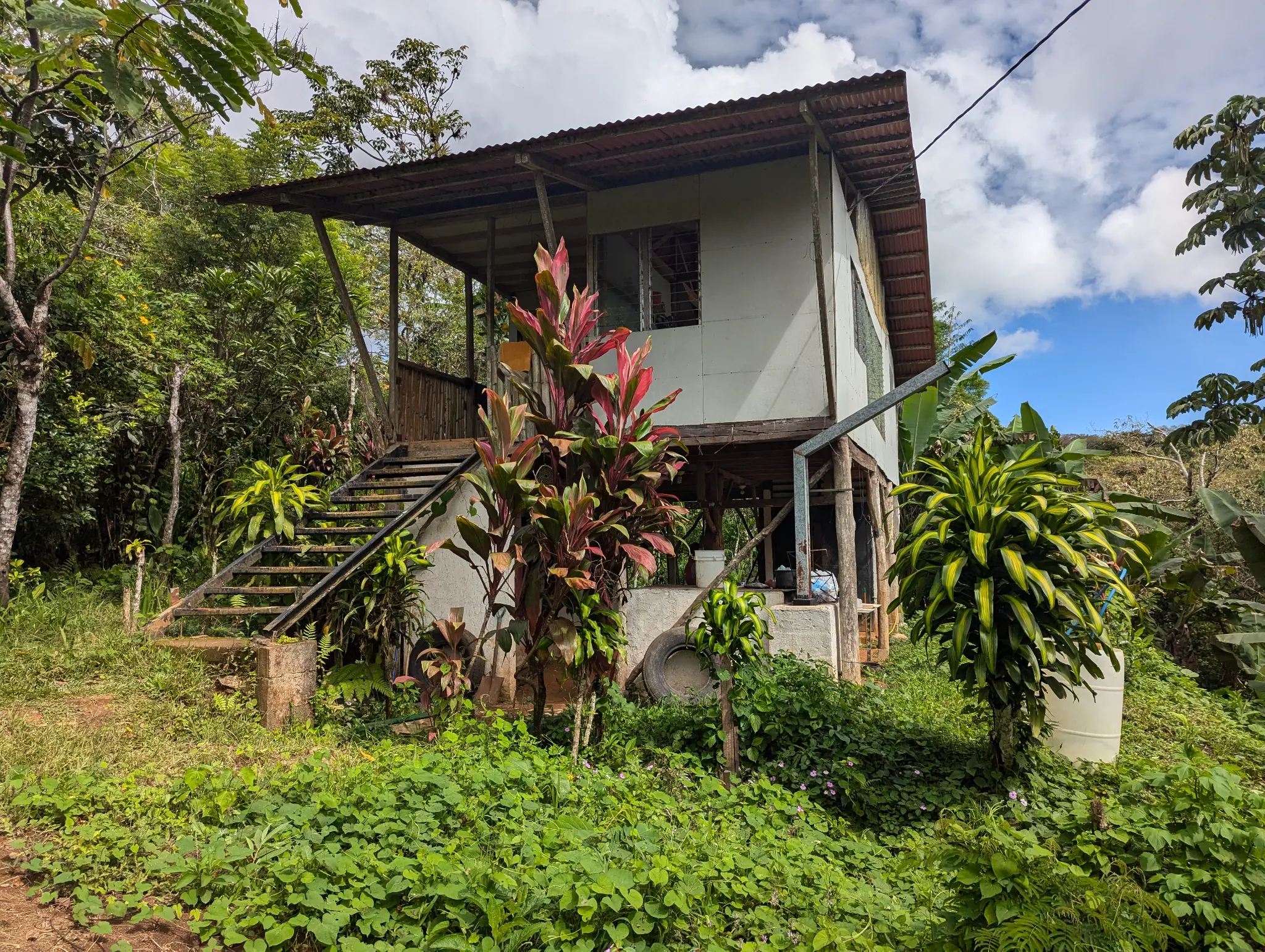 House at Finca Sylvatica from Southeast