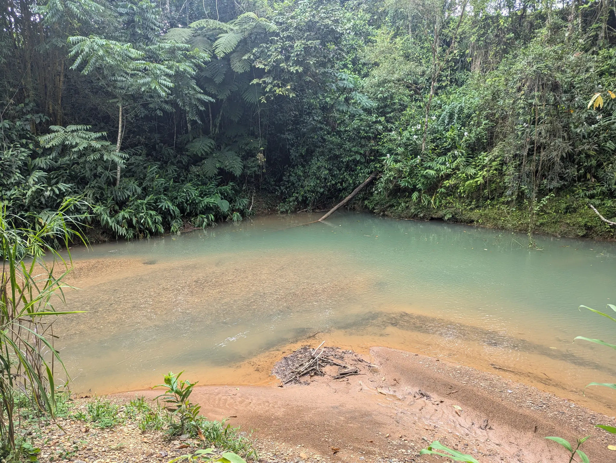 Swimming hole at Finca Sylvatica