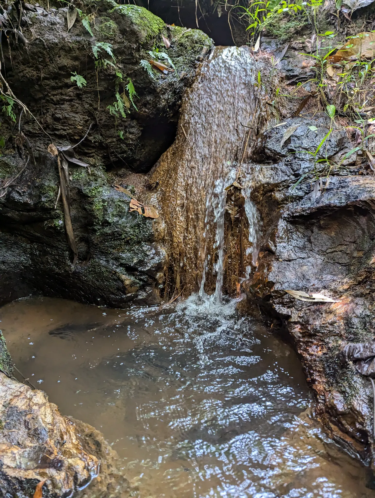 Detail of Finca Sylvatica
