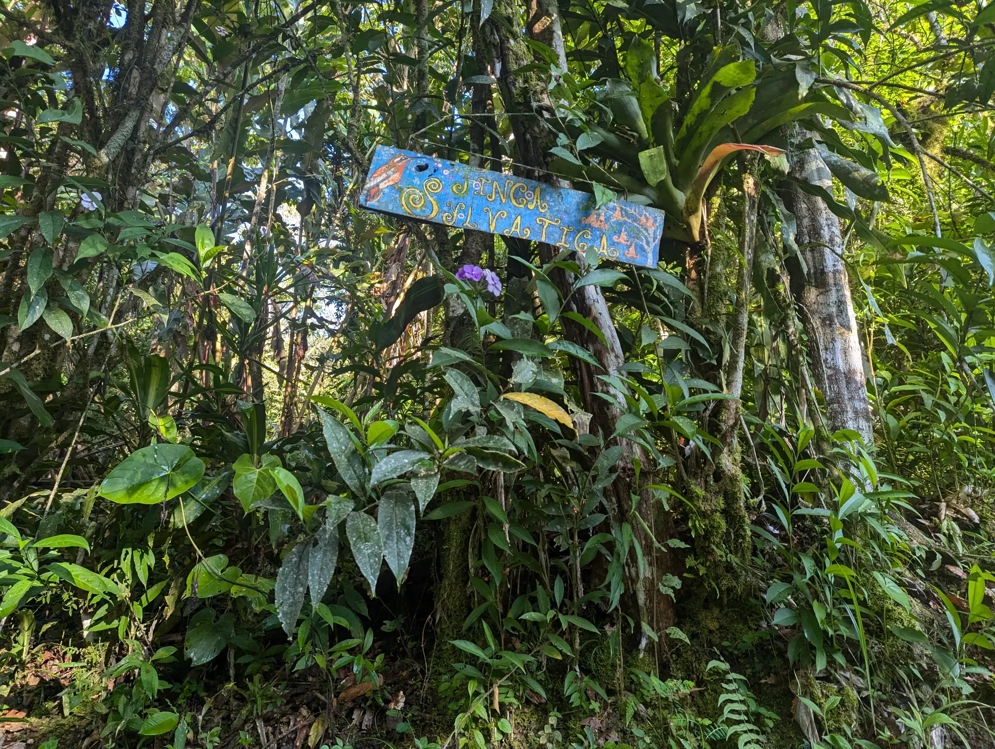 Natural beauty of Finca Sylvatica