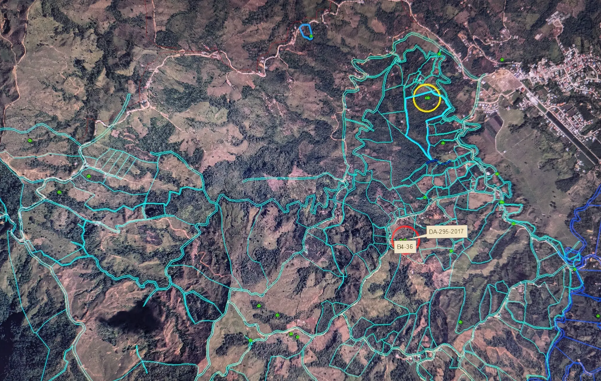 Unique aspect of Finca Sylvatica